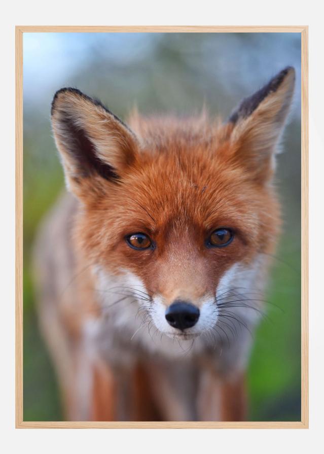 Bildverkstad Rust in the wild Poster