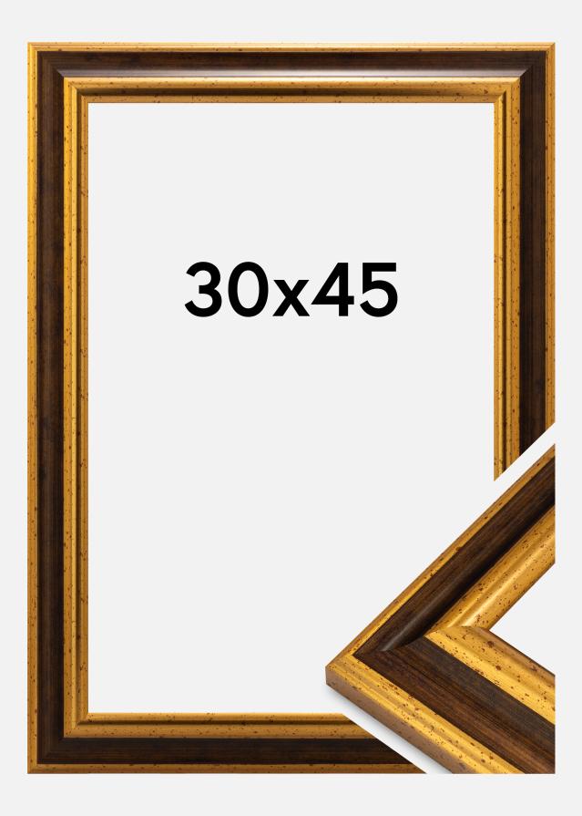 Jämtlands Ramfabrik Rahmen Aberystwyth Acrylglas Gold 30x45 cm