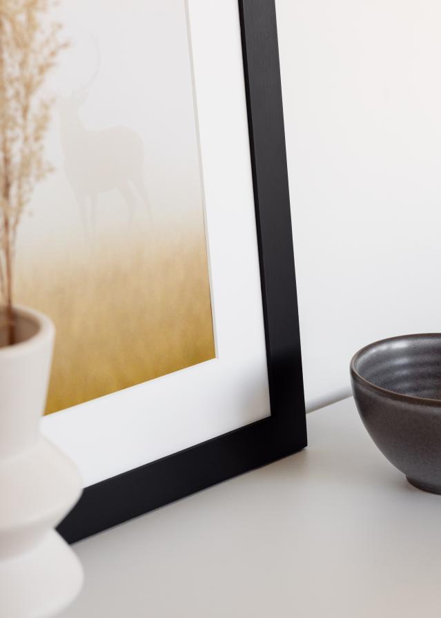 BGA BGA Select Wide Acrylglas Schwarz 30x40 cm