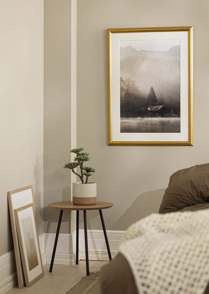 Jämtlands Ramfabrik Rahmen Västkusten Acrylglas Gold 4x6 inches (10,16x15,24 cm)