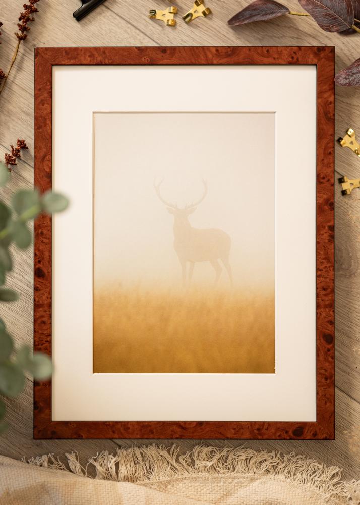 Ram med passepartou Rahmen Hermes Walnuss 60x80 cm - Passepartout Weiß 20x28 inches