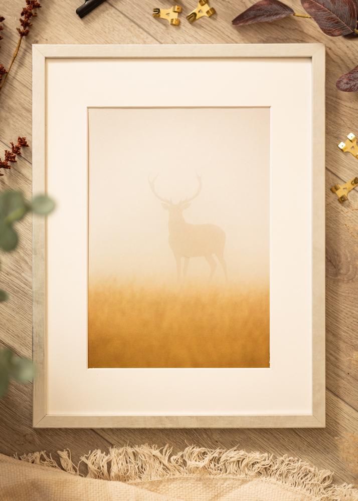 Ram med passepartou Rahmen Ares Silber 50x50 cm - Passepartout Weiß 16x16 inches