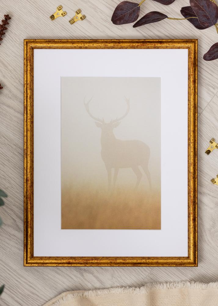 Jämtlands Ramfabrik Rahmen Claudia Acrylglas Gold 50x70 cm