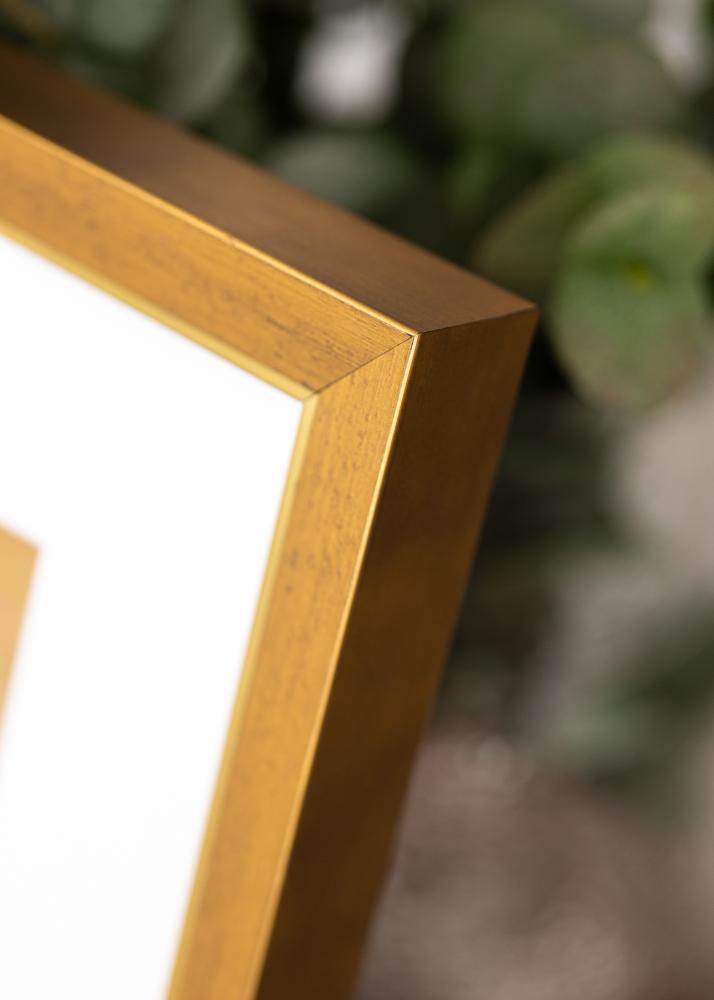 Jämtlands Ramfabrik Rahmen Brema Acrylglas Gold 20x30 cm