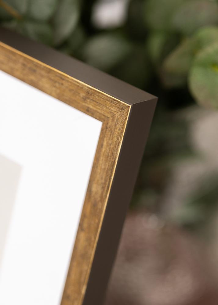 Jämtlands Ramfabrik Rahmen Dune Acrylglas Gold 40x60 cm