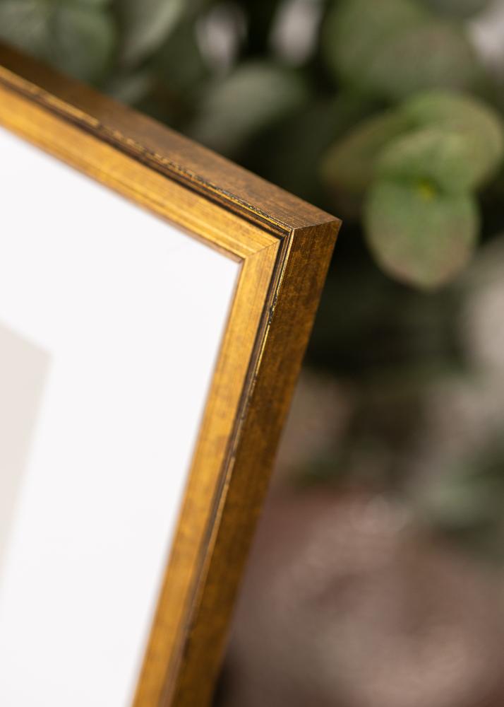 Jämtlands Ramfabrik Rahmen Ringa Acrylglas Gold 50x70 cm