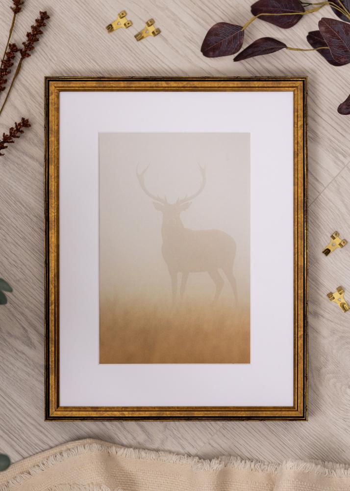 Jämtlands Ramfabrik Rahmen Ringa Acrylglas Gold 50x70 cm