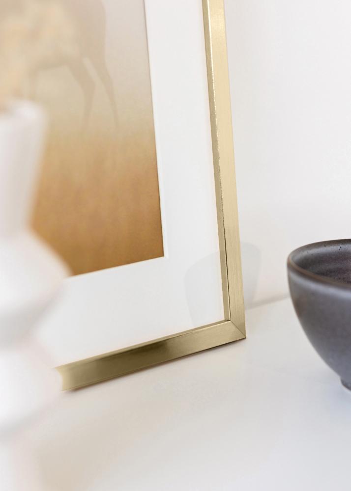 BGA Rahmen Trendy Acrylglas Gold 21x29,7 cm (A4)