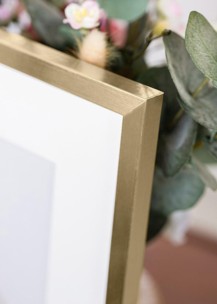 BGA Rahmen Trendy Acrylglas Gold 21x29,7 cm (A4)