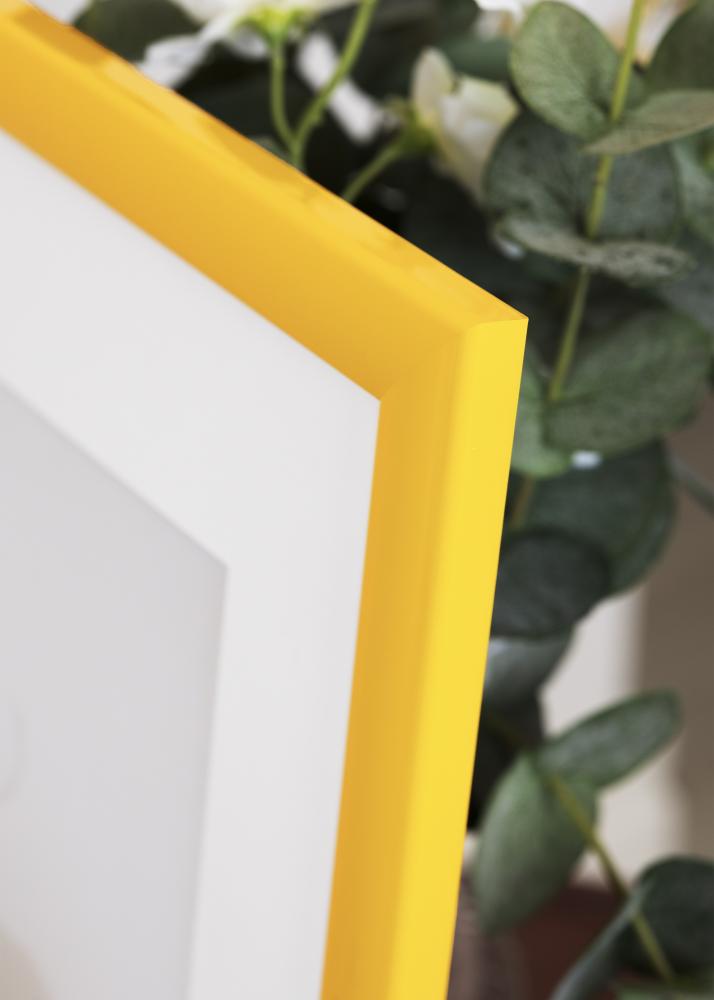 Jämtlands Ramfabrik Rahmen Dorset Acrylglas Gold 30x45 cm