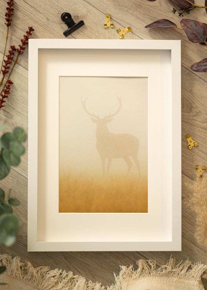 Ram med passepartou BGA Kastenrahmen Weiß 50x70 cm - Passepartout Weiß 40x60 cm