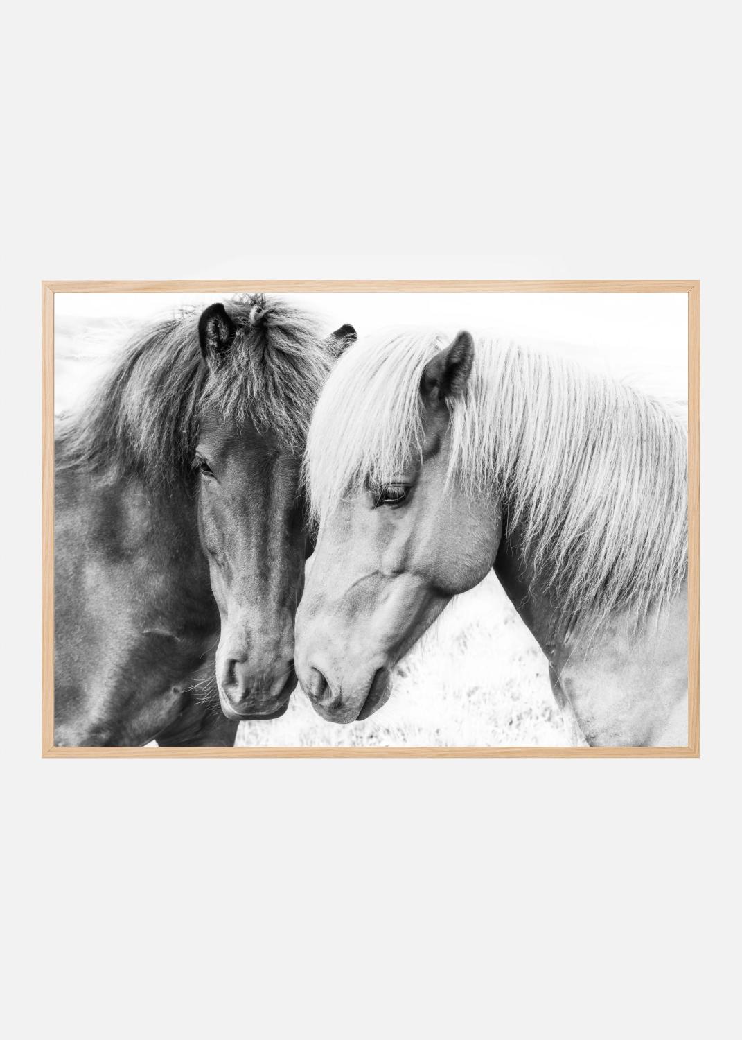 Product Image for Horse Love Poster (30x40 cm)