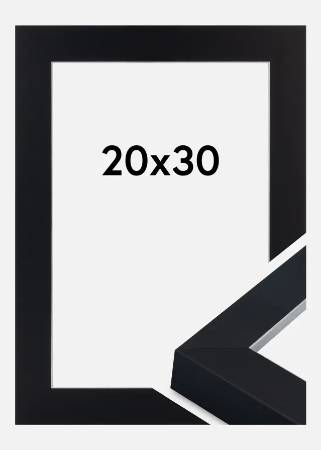 Jämtlands Ramfabrik Rahmen Sussex Acrylglas Schwarz/Silber 20x30 cm