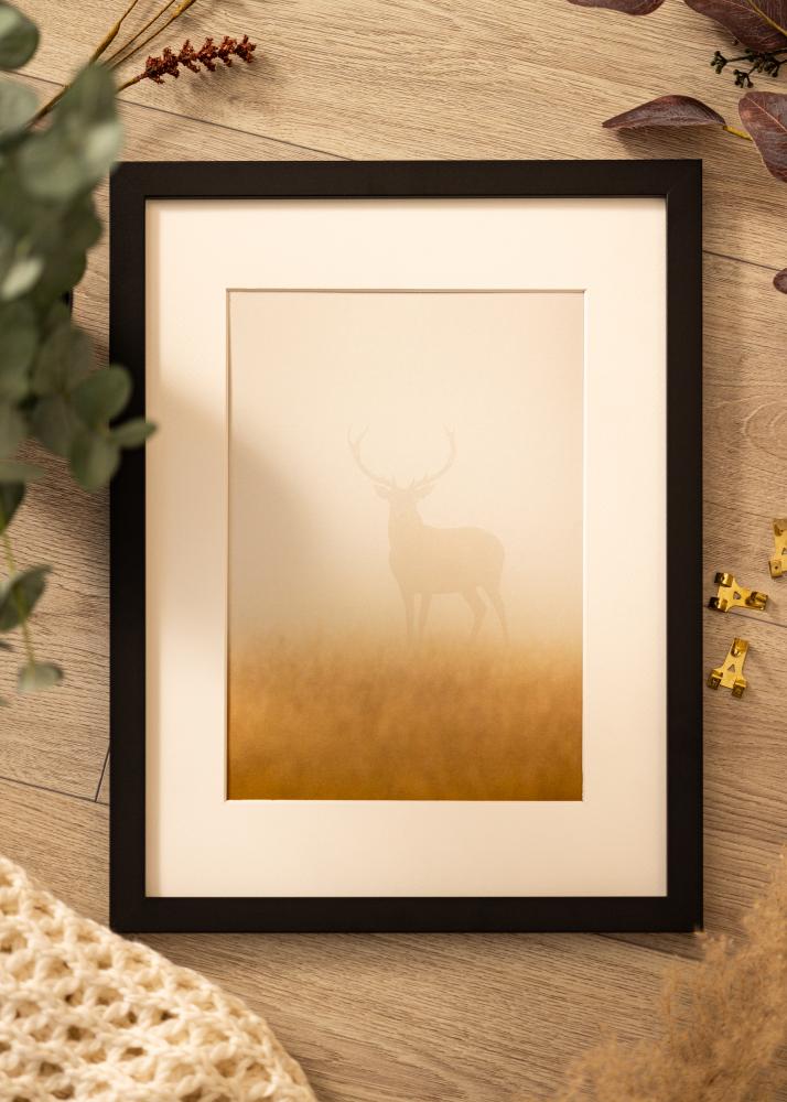 BGA Rahmen Deco Acrylglas Schwarz 18x24 cm