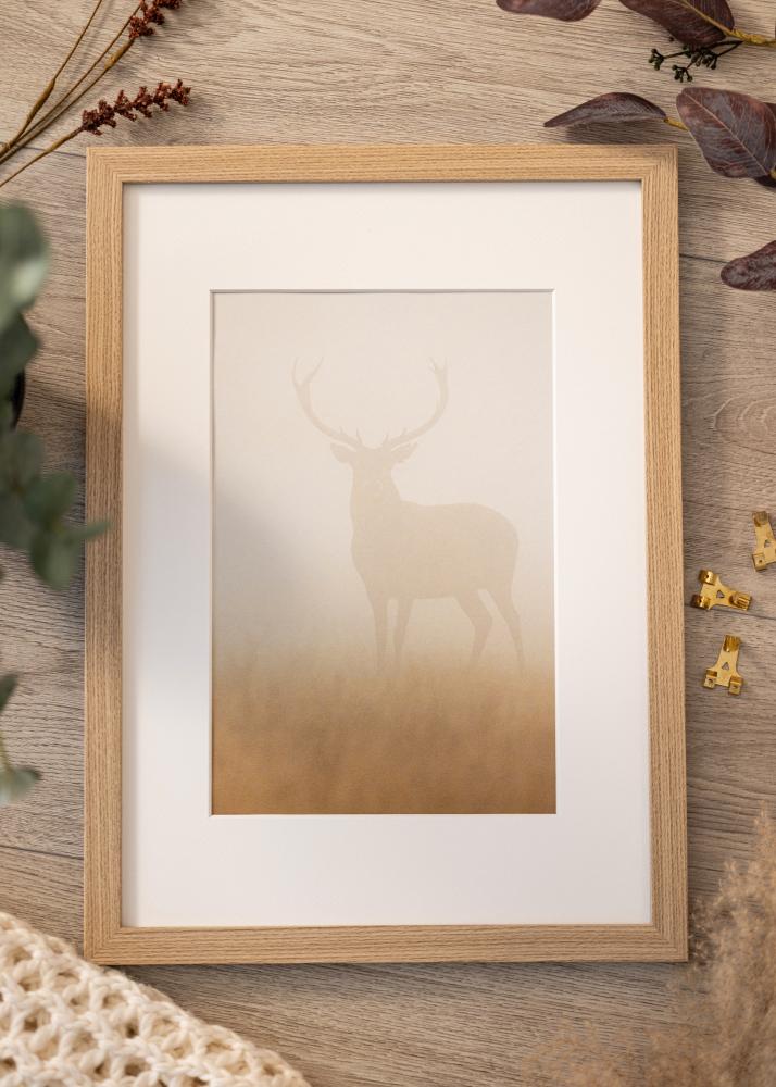 BGA Rahmen Deco Acrylglas Eiche 29.7x42 cm (A3)