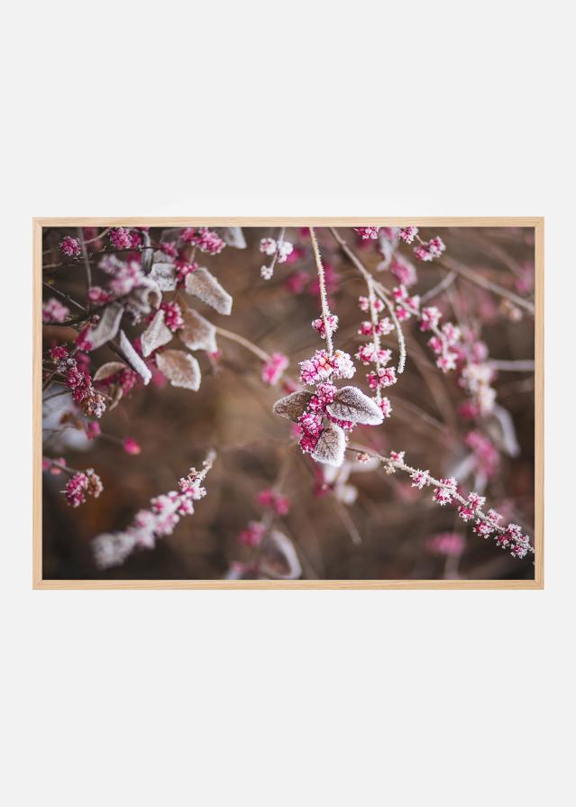 Bildverkstad Blume Nahaufnahme Poster