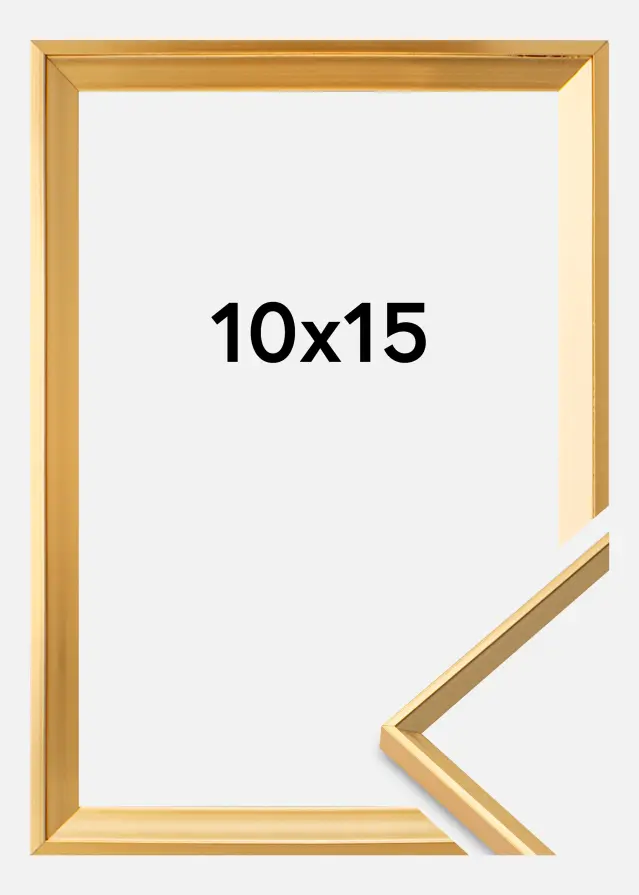 Walther Rahmen Desire Acrylglas Gull 10x15 cm