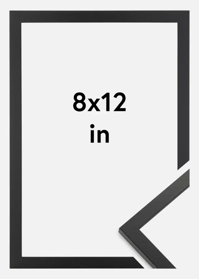 Artlink Rahmen Trendy Acrylglas Schwarz 8x12 inches (20,32x30,48 cm)