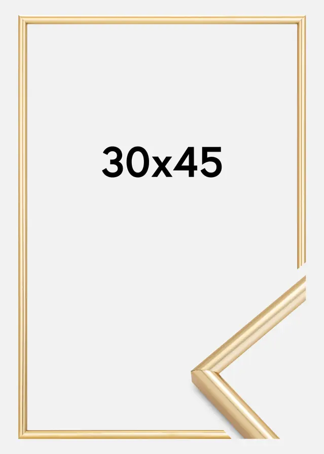 Walther Rahmen Galeria Gold 30x45 cm