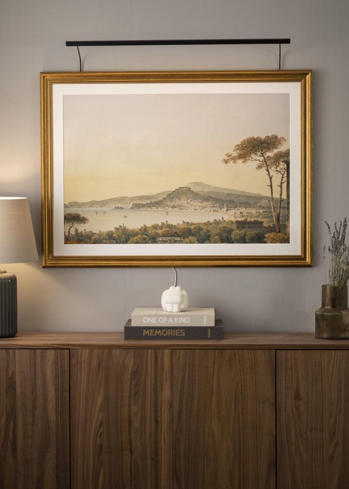 BLP BLP 117 Bildbeleuchtung 85 cm - Schwarz