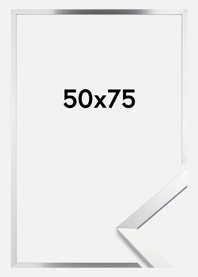 Artlink Rahmen Trendy Acrylglas Silber 50x75 cm