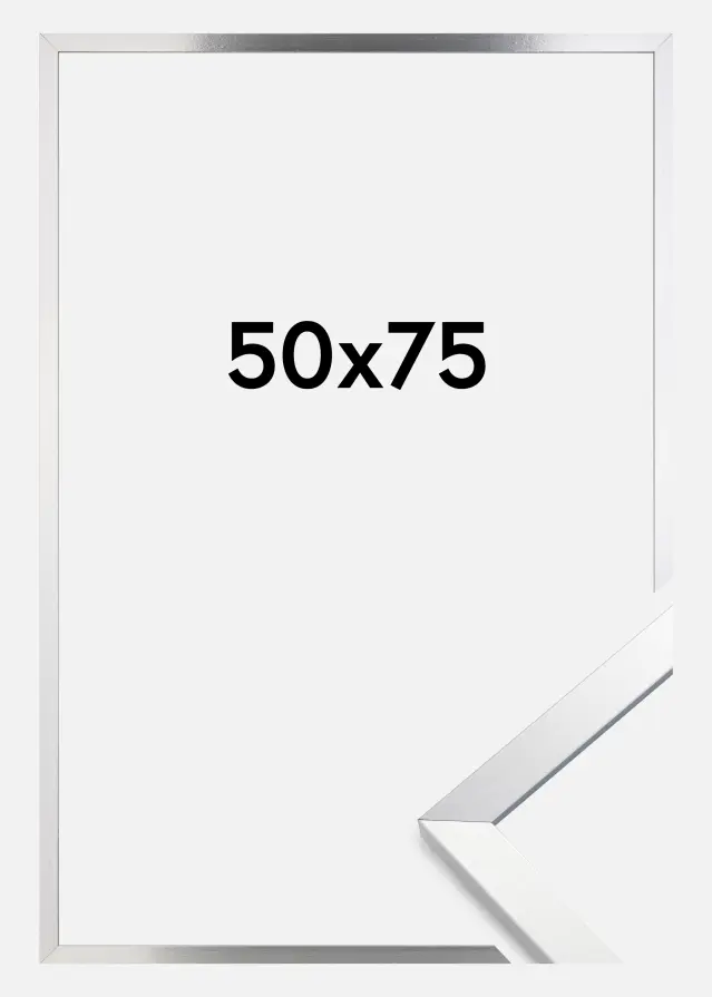Artlink Rahmen Trendy Acrylglas Silber 50x75 cm