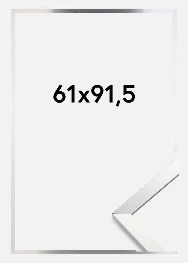 Artlink Rahmen Trendy Acrylglas Silber 61x91,5 cm