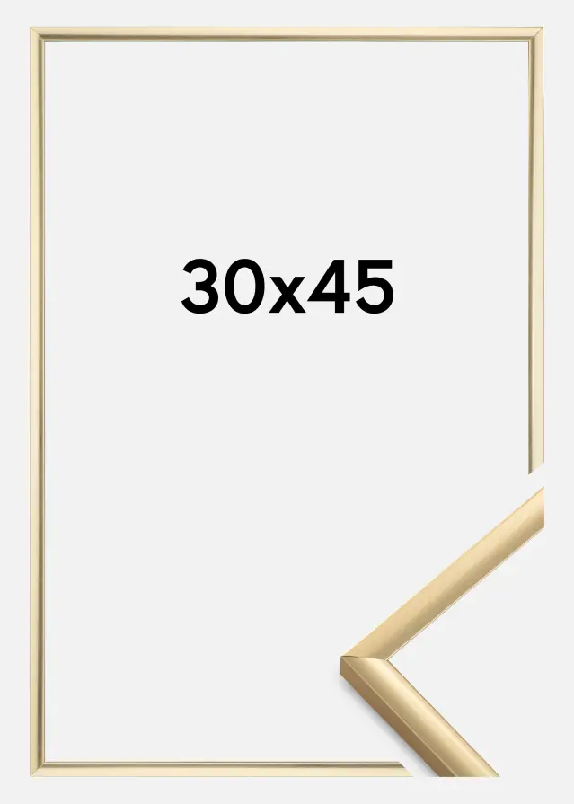 Walther Rahmen New Lifestyle Gold 30x45 cm