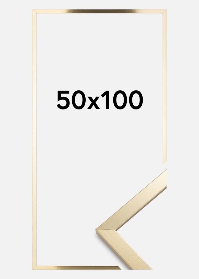 Artlink Rahmen Trendy Acrylglas Gold 50x100 cm