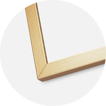 Mavanti Rahmen Minerva Acrylglas Gold 45x60 cm