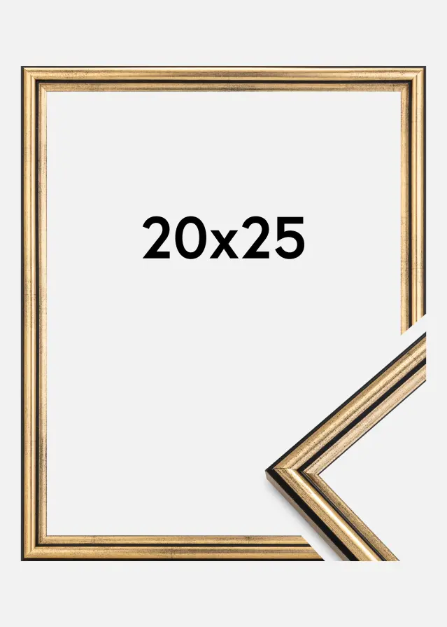 Galleri 1 Rahmen Horndal Acrylglas Gold 20x25 cm