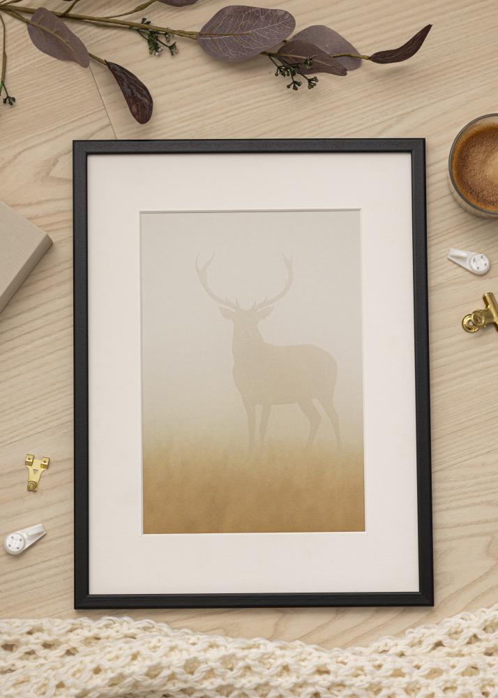 Artlink Rahmen Kaspar Acrylglas Schwarz 25x70 cm