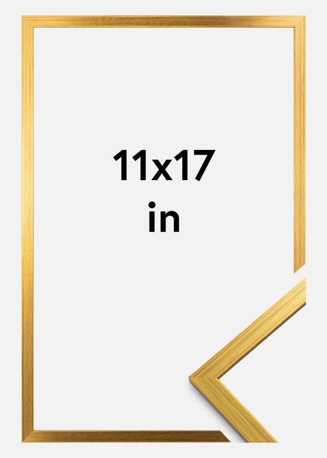 Galleri 1 Rahmen Edsbyn Acrylglas Gold 11x17 inches (27,94x43,18 cm)