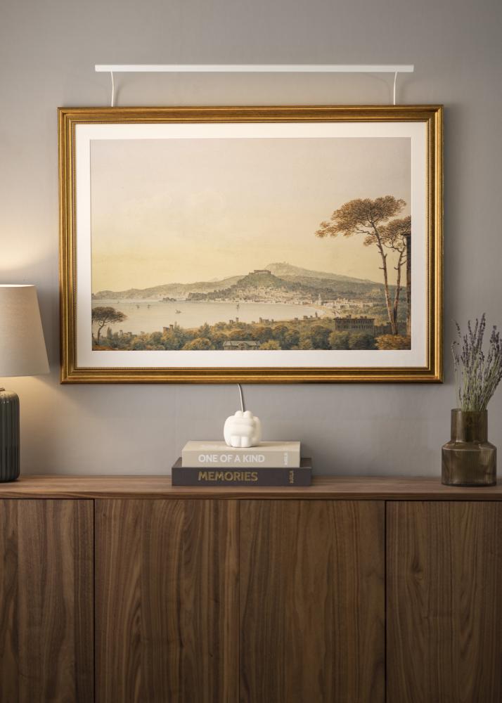 BLP BLP 117 Bildbeleuchtung 85 cm - Weiß