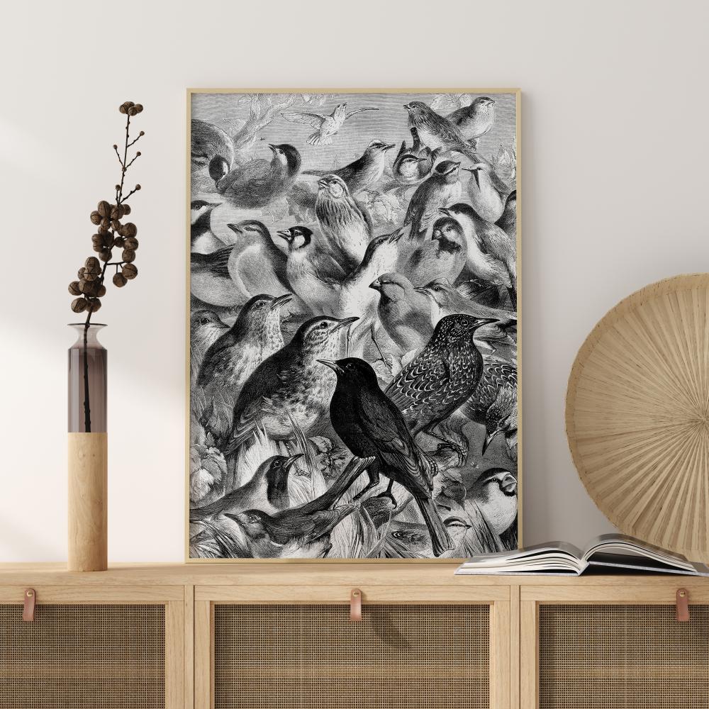 Bildverkstad Birds Poster