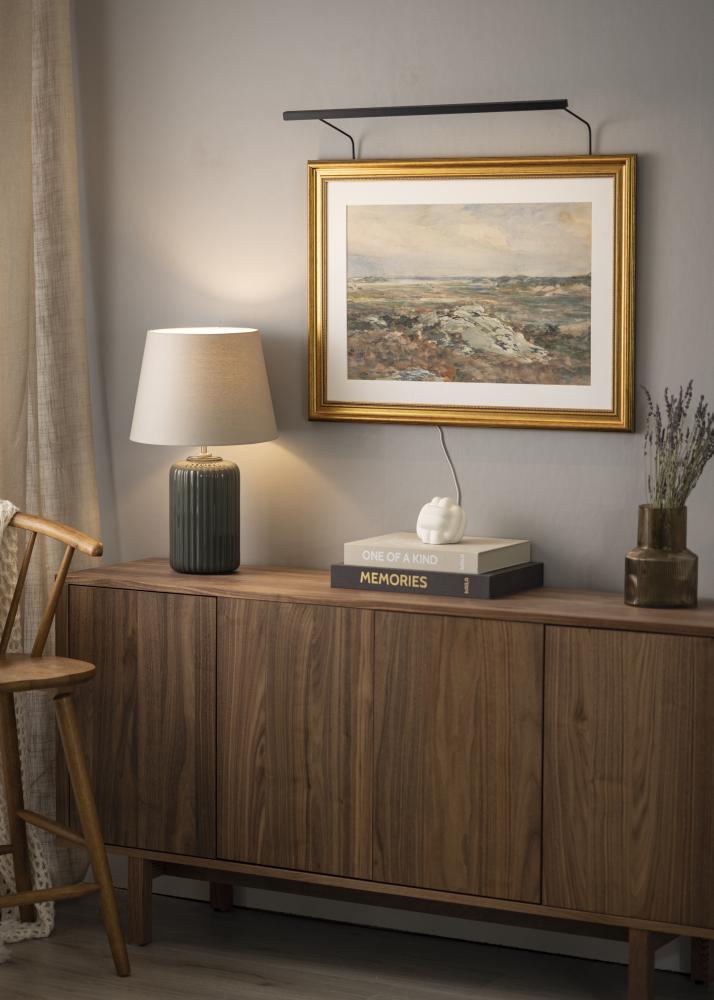 BLP BLP 117 Bildbeleuchtung 65 cm - Schwarz