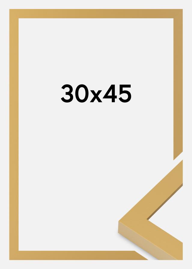 Jämtlands Ramfabrik Rahmen Selection Acrylglas Corn Yellow 30x45 cm