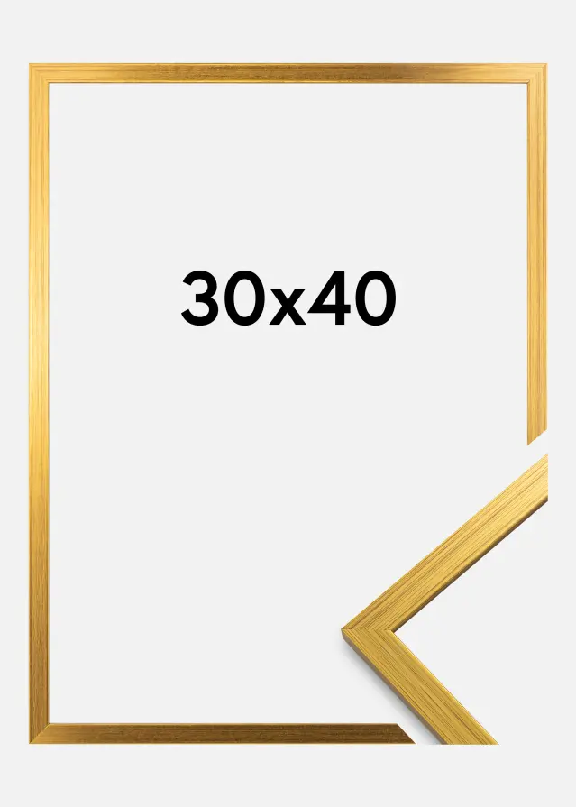 Galleri 1 Rahmen Edsbyn Acrylglas Gold 30x40 cm