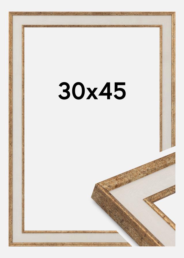 Jämtlands Ramfabrik Rahmen Dolly Acrylglas Gold 30x45 cm