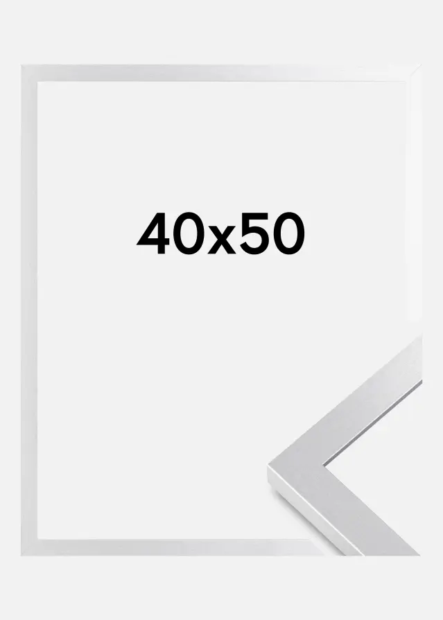 BGA Rahmen Selection Acrylglas Silber 40x50 cm
