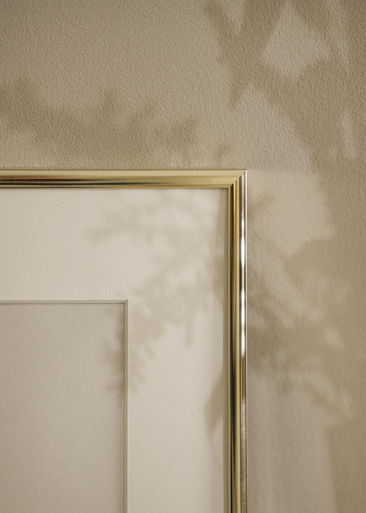 Estancia Rahmen Aluminium Acrylglas Gold Glänzend 40x50 cm