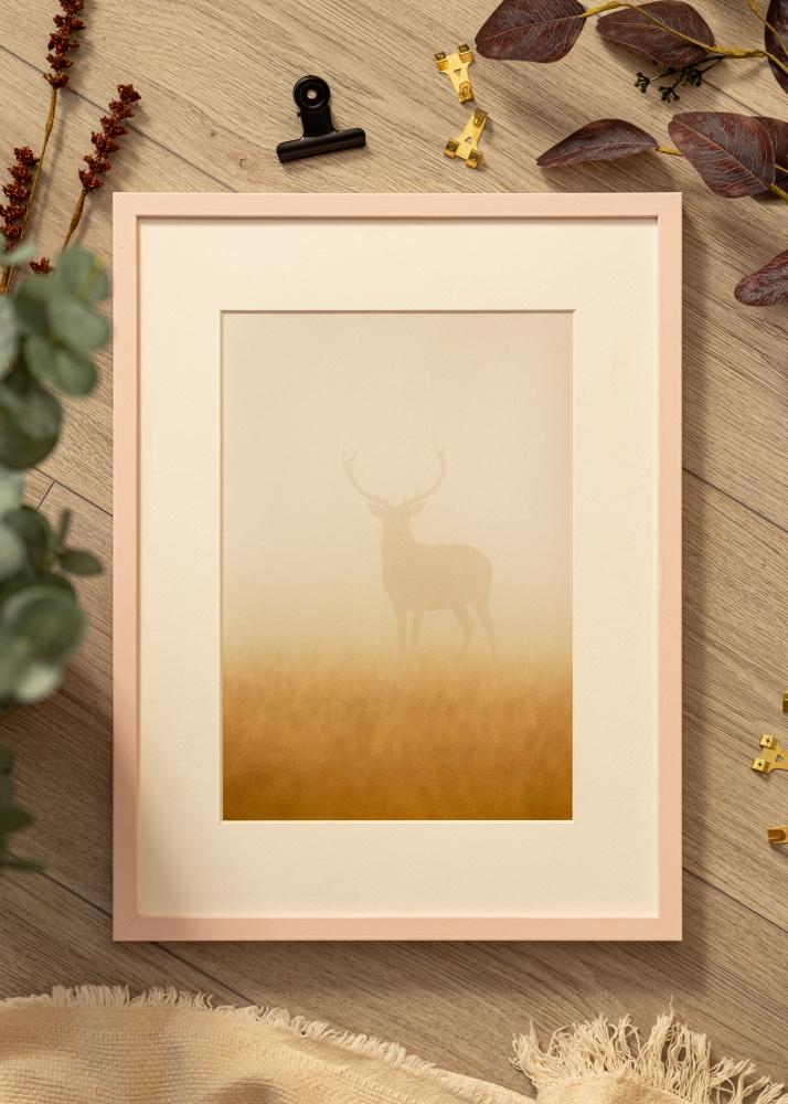 Artlink Colorful Acrylglas Rosa 60x80 cm