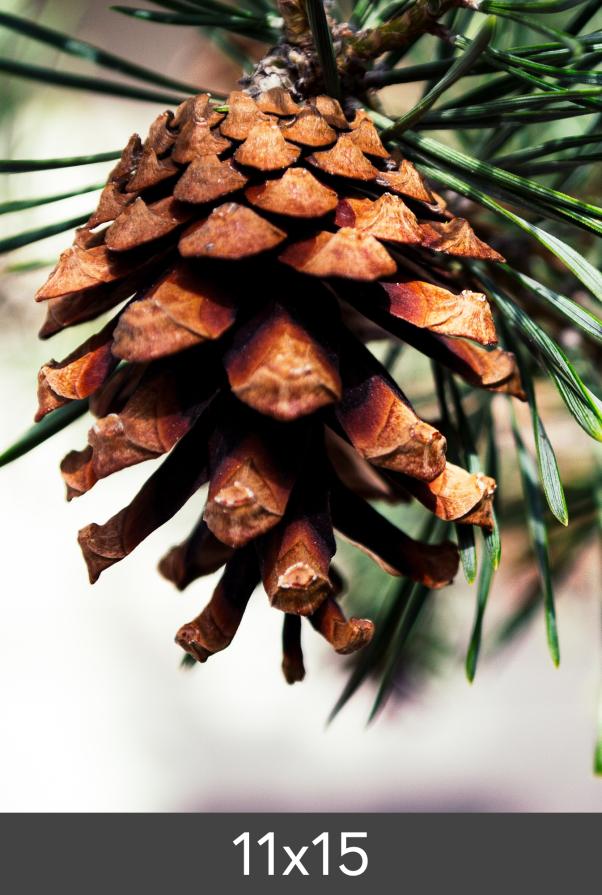 Egen tillverkning - Kundbild Vergrößerung FineArt Bamboo 290 g