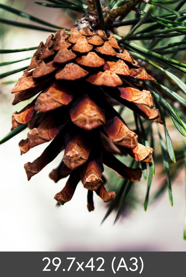 Egen tillverkning - Kundbild Vergrößerung FineArt Bamboo 290 g