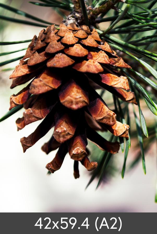 Egen tillverkning - Kundbild Vergrößerung FineArt Bamboo 290 g