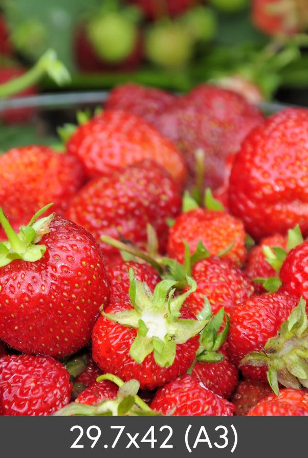 Egen tillverkning - Kundbild Vergrößerung Standard Photo Glossy 290 g