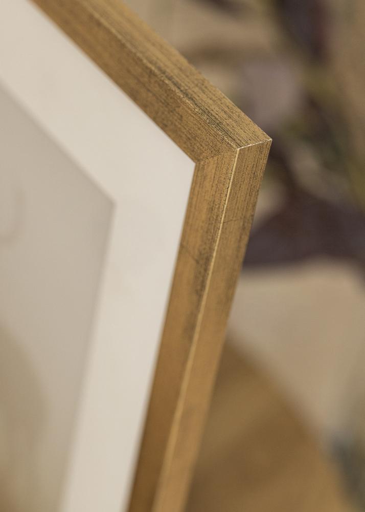 Estancia Rahmen Stilren Acrylglas Gold 50x70 cm