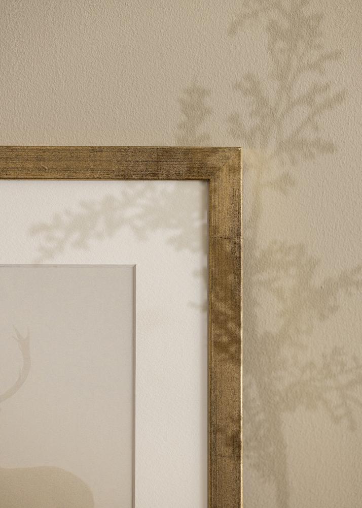 Estancia Rahmen Stilren Acrylglas Gold 50x70 cm