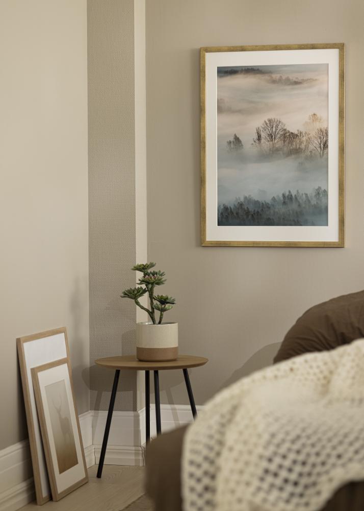 Estancia Rahmen Stilren Acrylglas Gold 50x70 cm