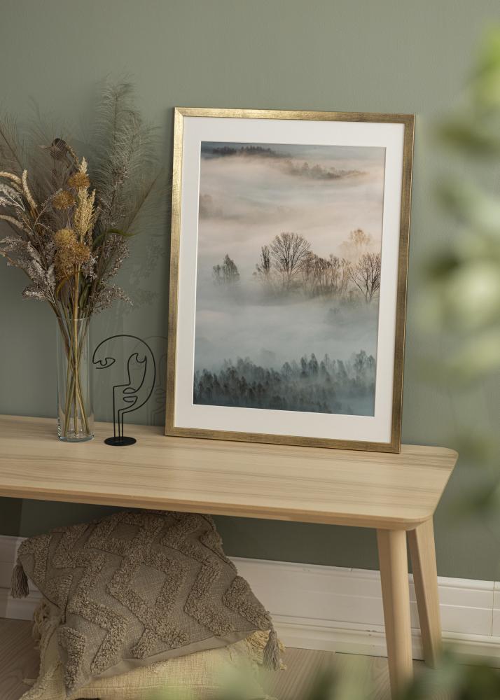 Estancia Rahmen Stilren Acrylglas Gold 50x70 cm